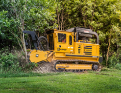 Cutting Trees